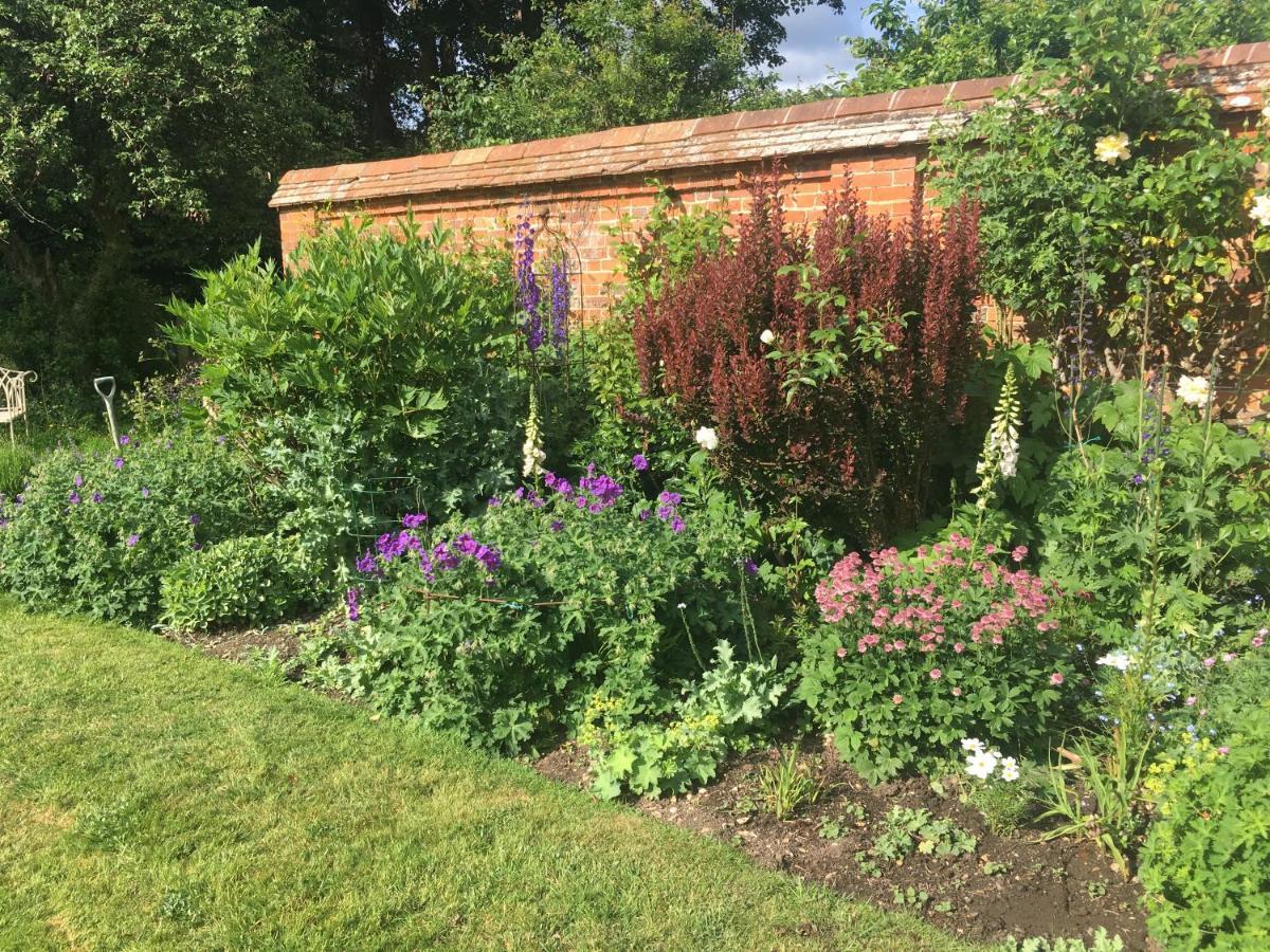 Garden Cottage B&B Penton Mewsey Zewnętrze zdjęcie